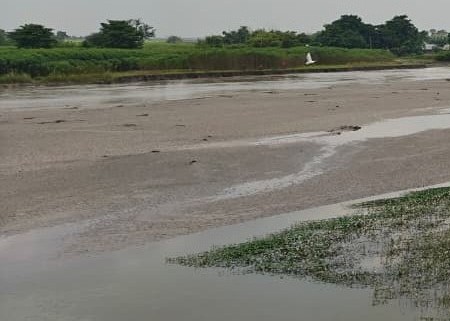 Kosi Floods: A Cycle of Disaster and Resilience in North Bihar